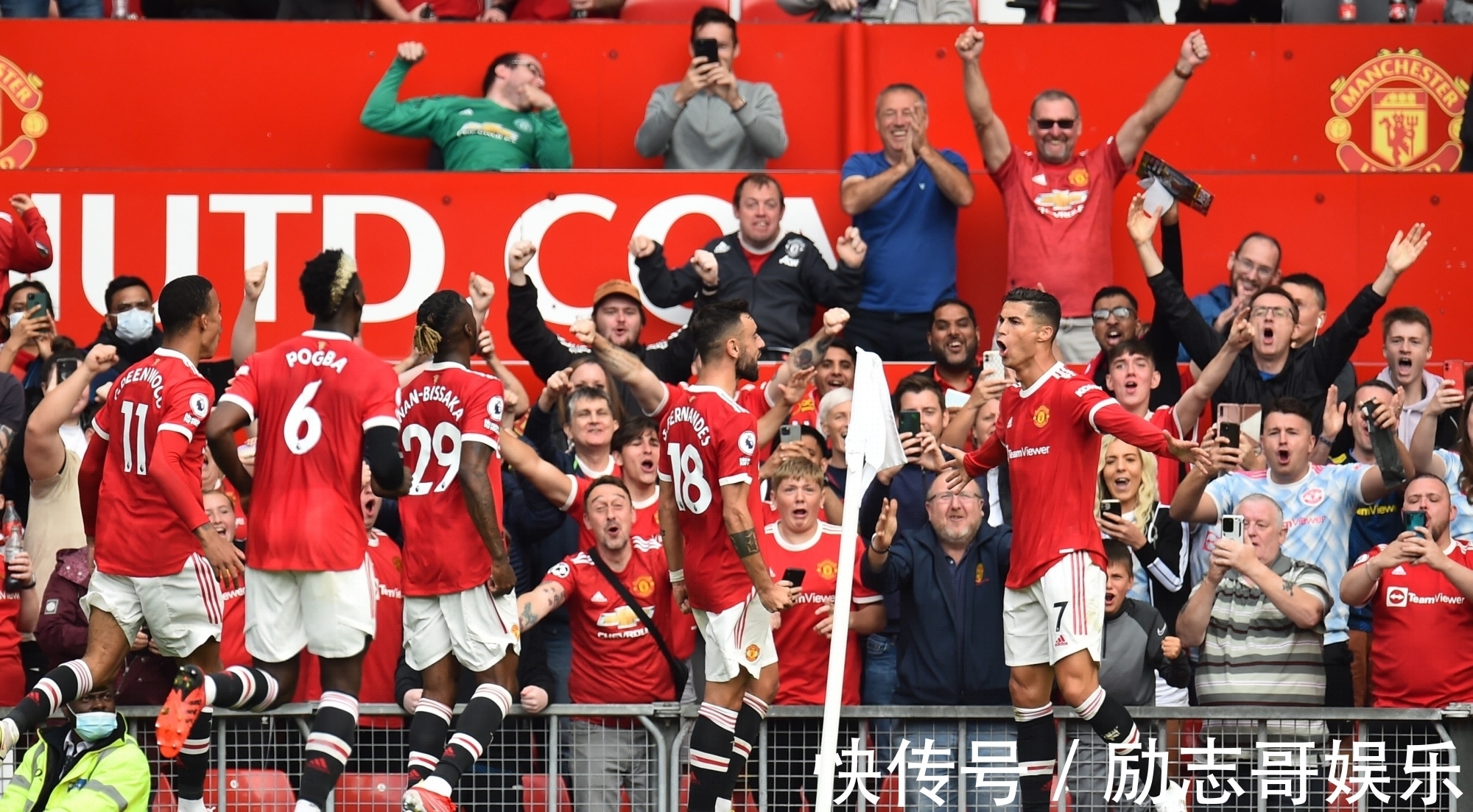 30吨植物油精炼设备