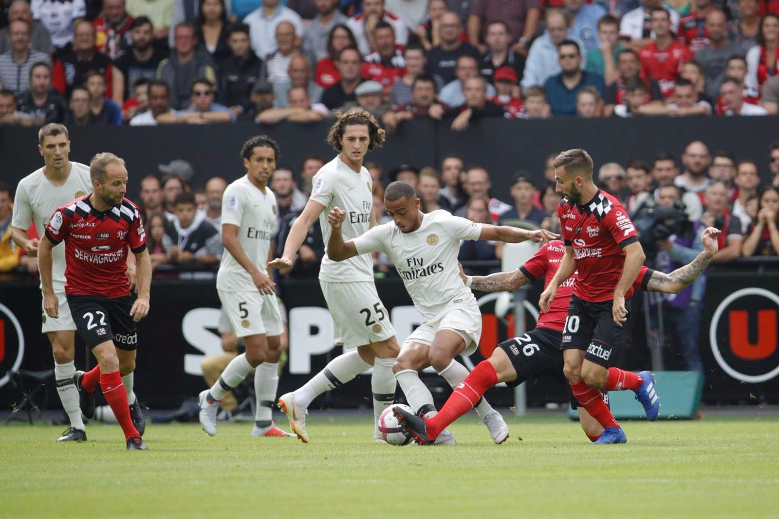 葵花籽脱蜡生产线