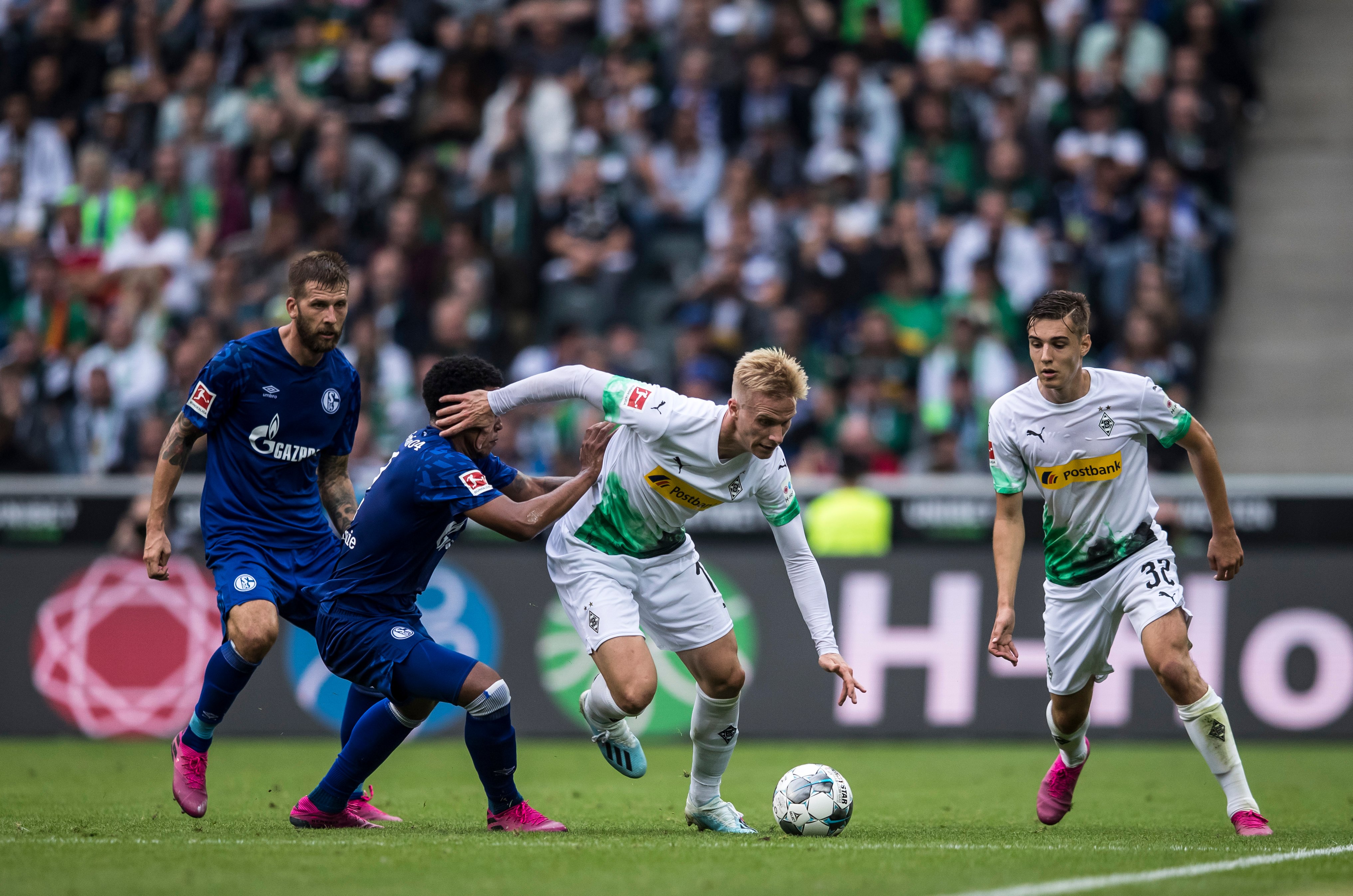 葵花籽脱蜡生产线