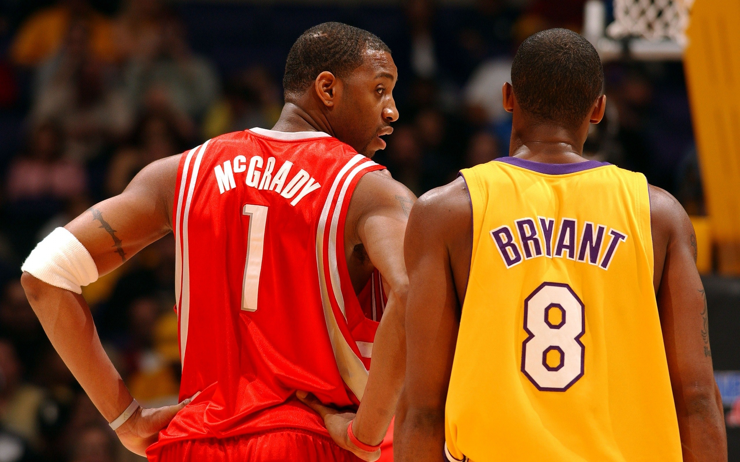 小规模的茶籽油生产线